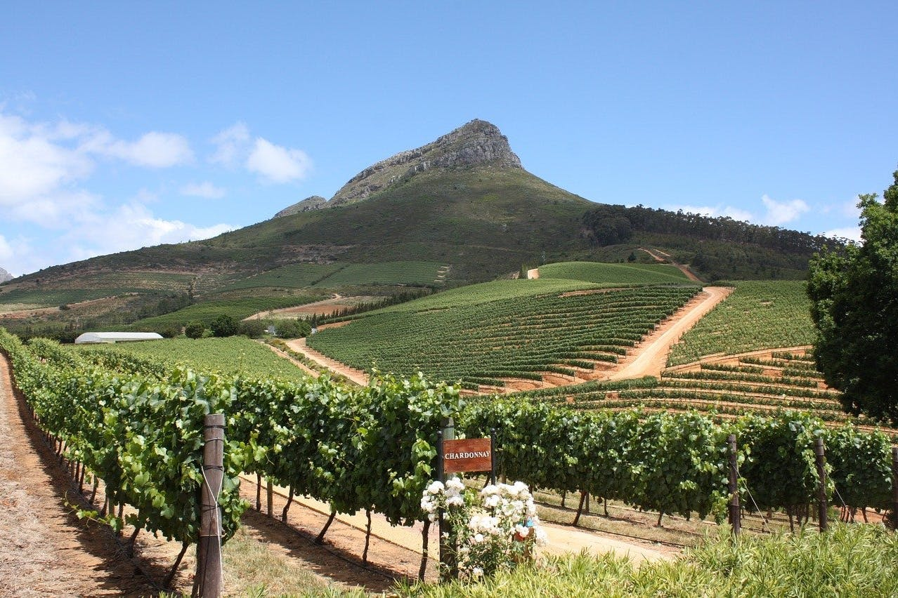 Stellenbosch & Franschhoek: Wine Tasting + Roundtrip Transfer From Cape Town - Photo 1 of 7